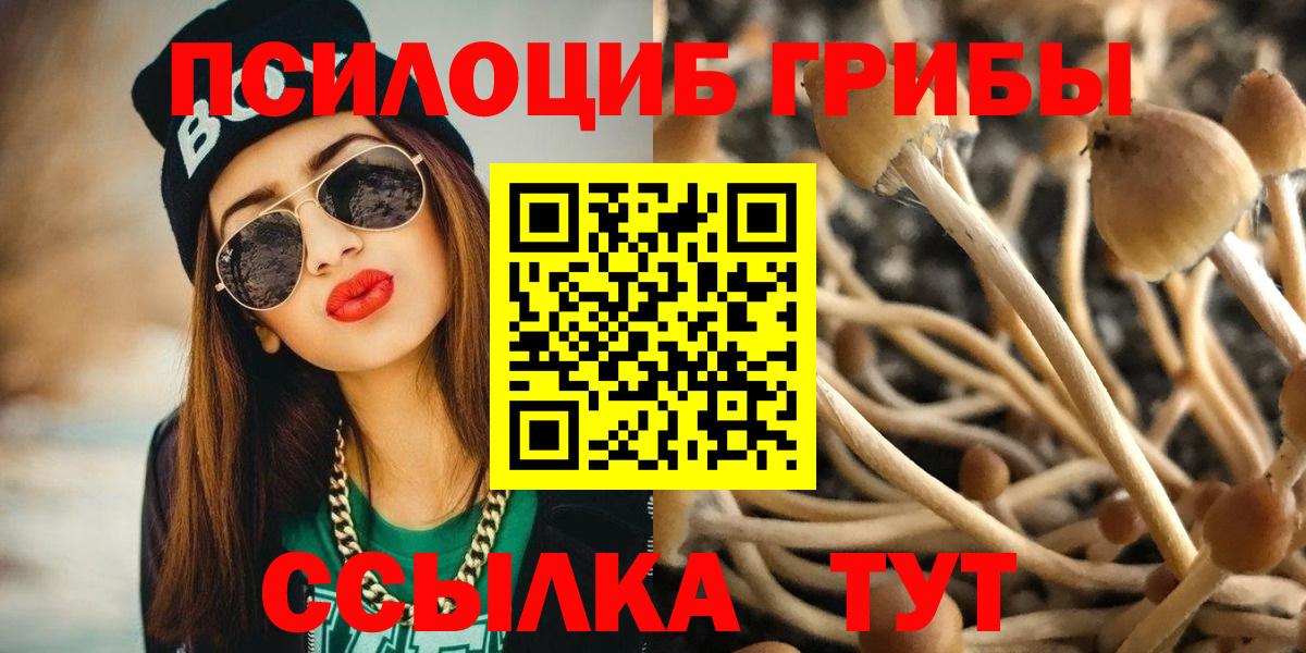 Великий Новгород  Псилоцибиновые грибы мицелий  дарнет шоп  Вход с VPN 